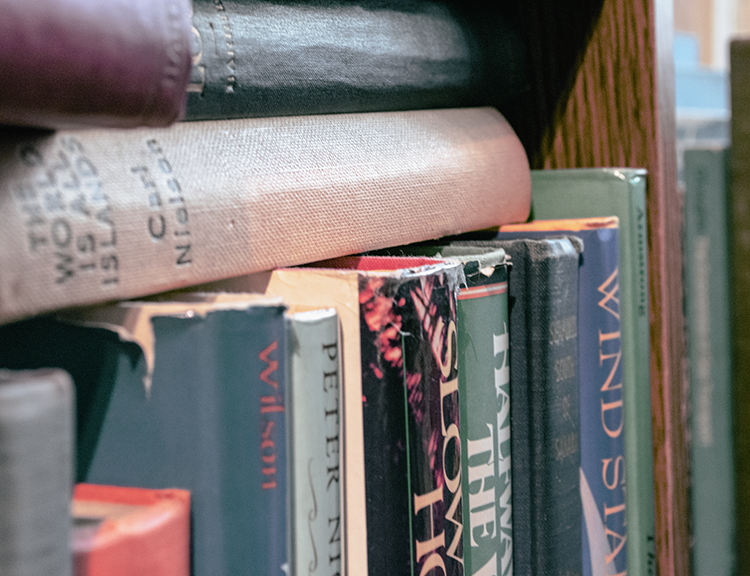 This is a photo that I took at Gramps Attic Book Store in Ellicott City, MD. This photo has some books (horizontal) sitting atop of other old books (vertical)